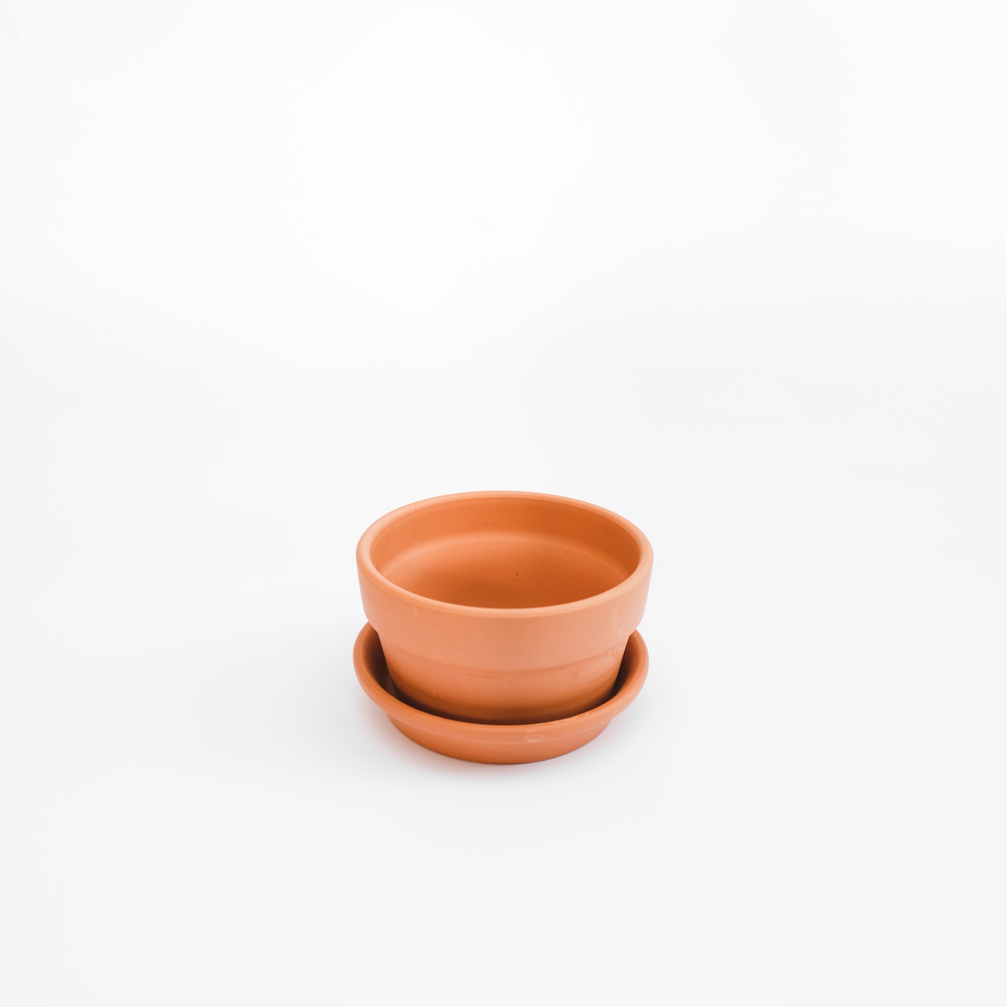 Shallow Terracotta Pot - M