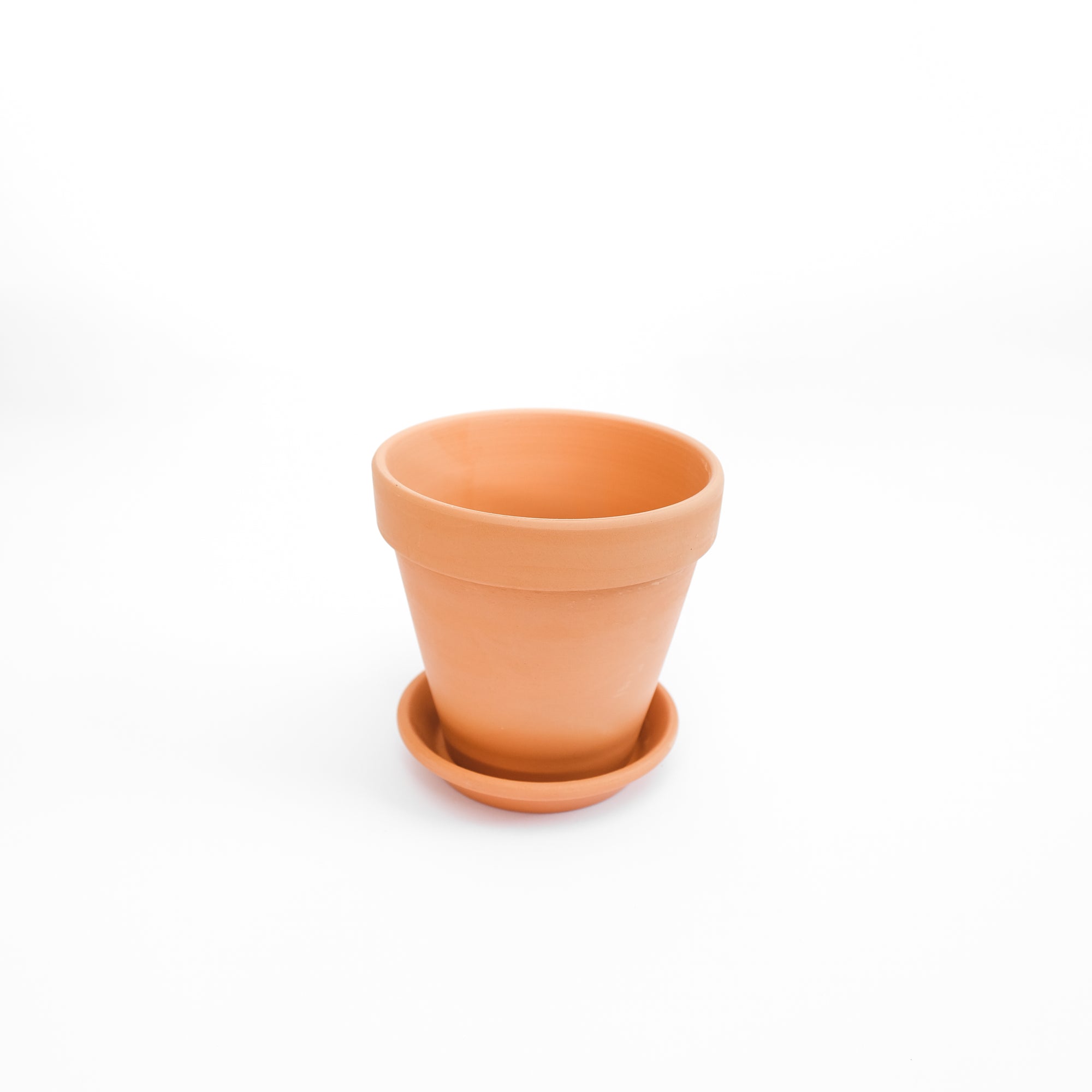 Classic Terracotta Pot - M