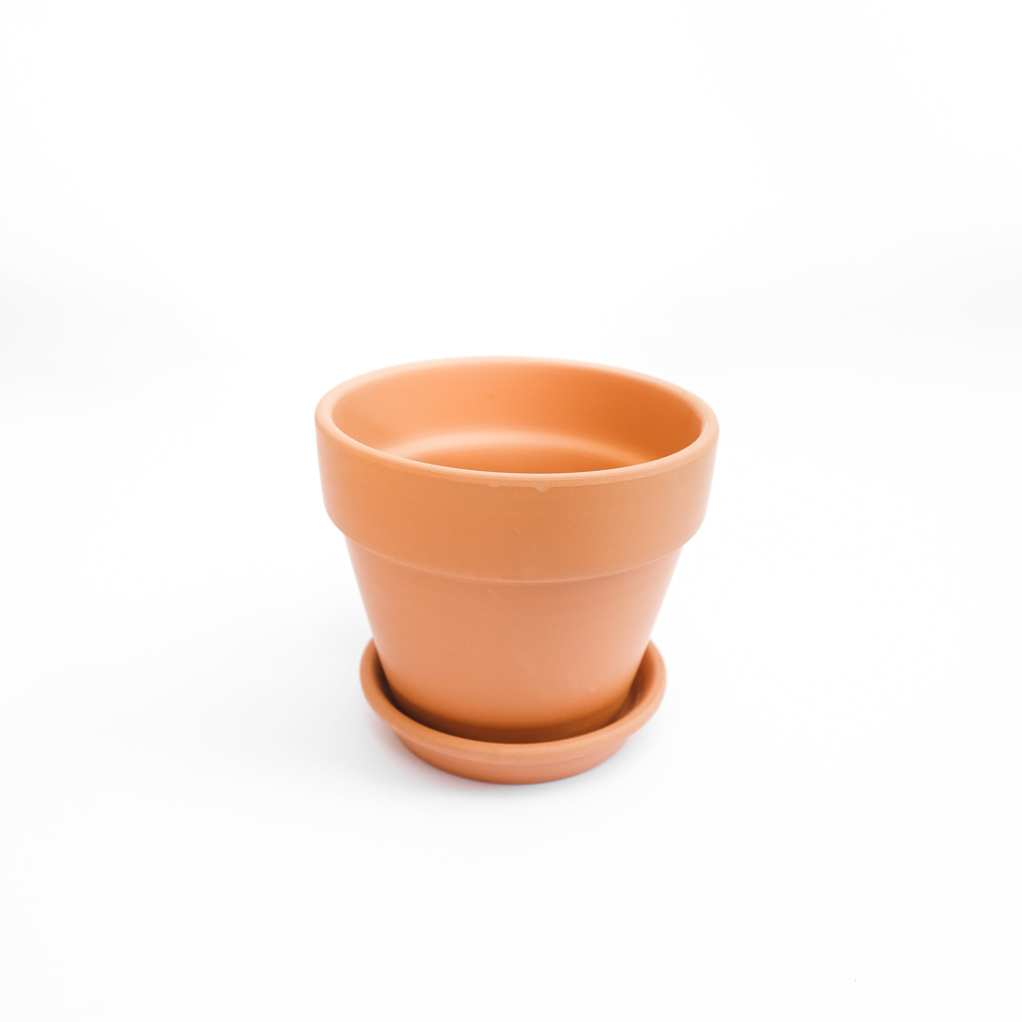 Classic Terracotta Pot - L